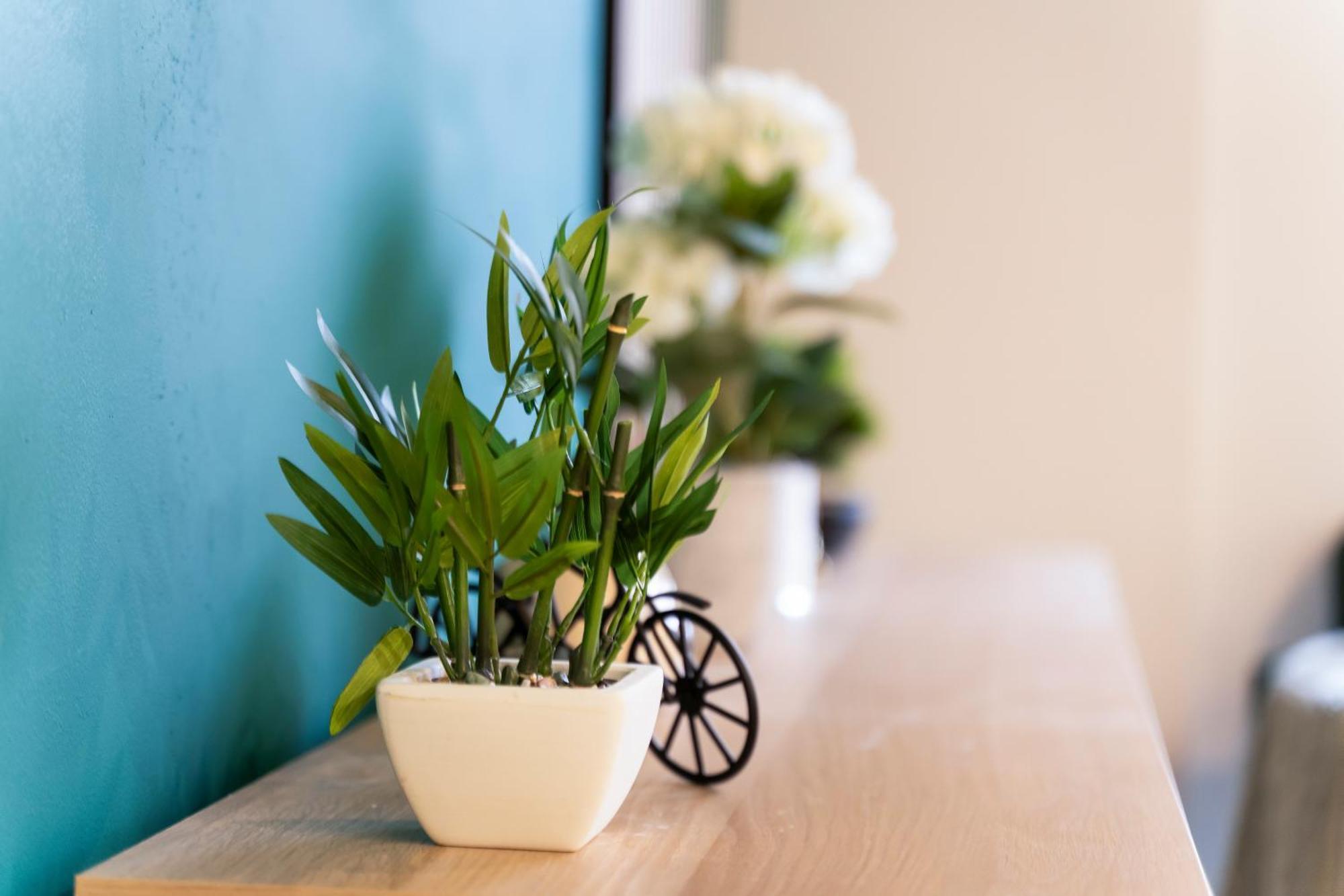 Evergreen Haven - Central 2Br - Free Parking W High Speed Wifi Μπέρμιγχαμ Εξωτερικό φωτογραφία